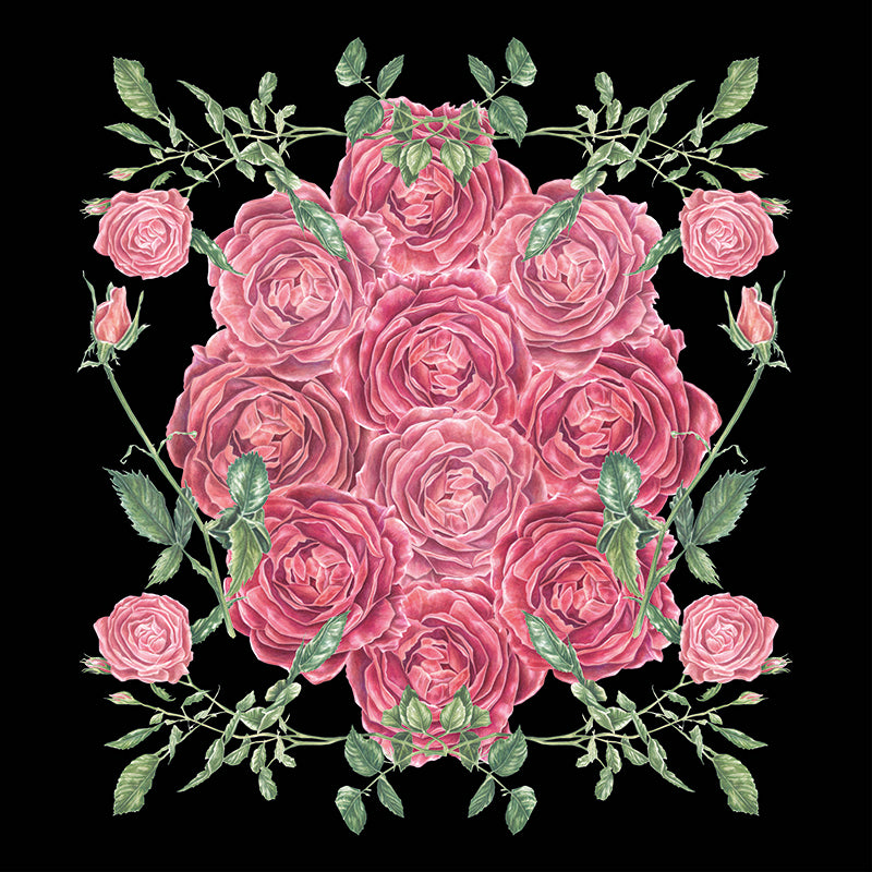 Beautiful Roses