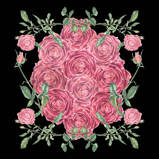 Beautiful Roses