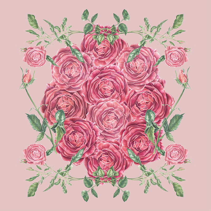 Beautiful Roses