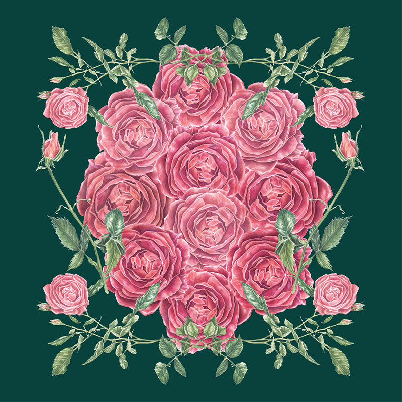 Beautiful Roses
