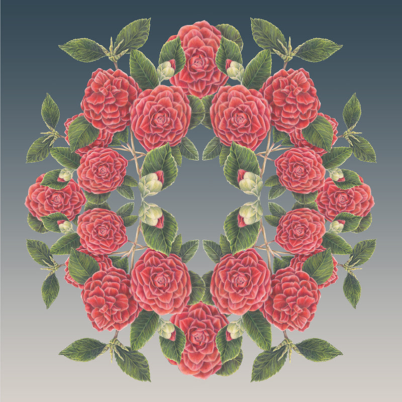 Camellia Wreath Botanical