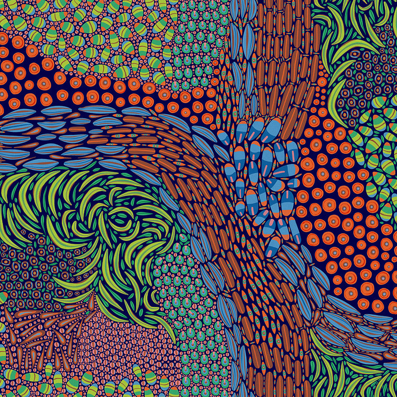 Cell Division