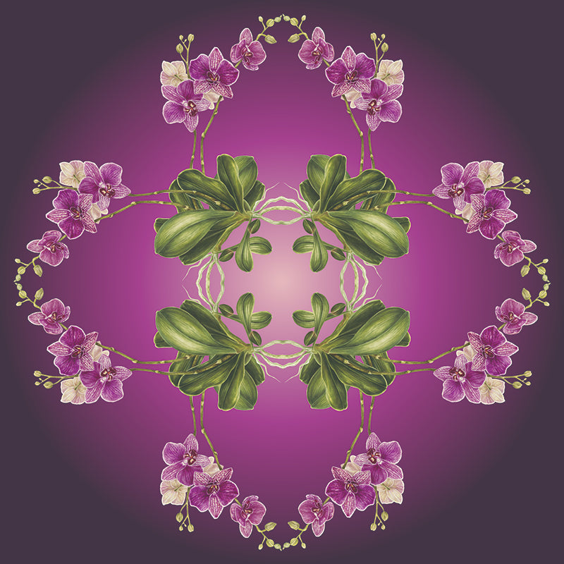 Exotic Orchid Botanical