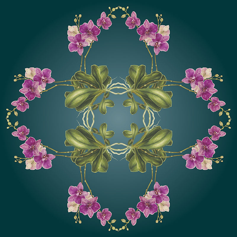 Exotic Orchid Botanical