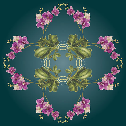 Exotic Orchid Botanical
