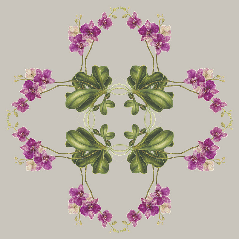 Exotic Orchid Botanical