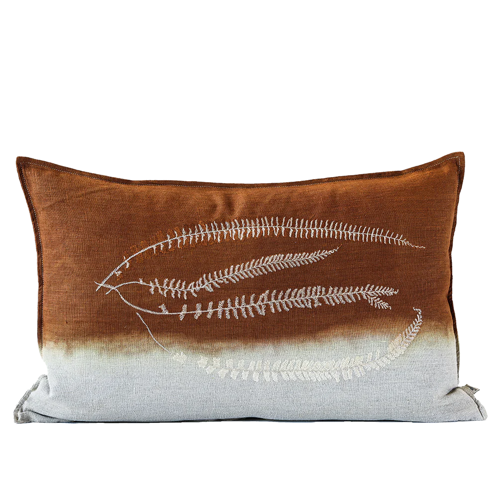 Fern Asplenium Cushion