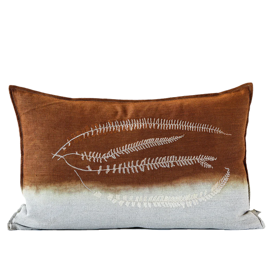 Fern Asplenium Cushion