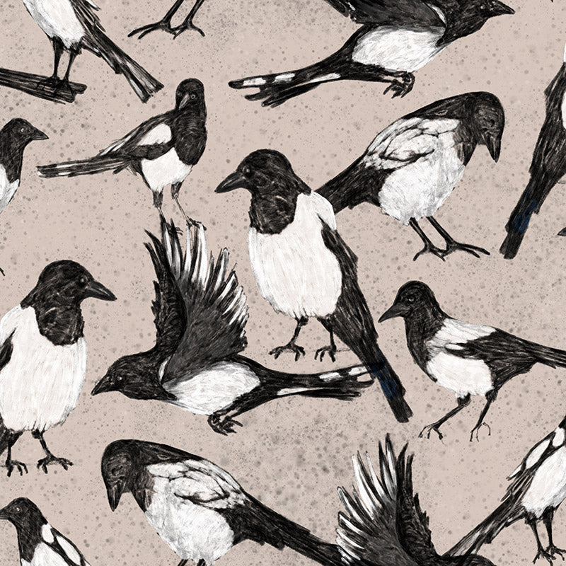 Magpies