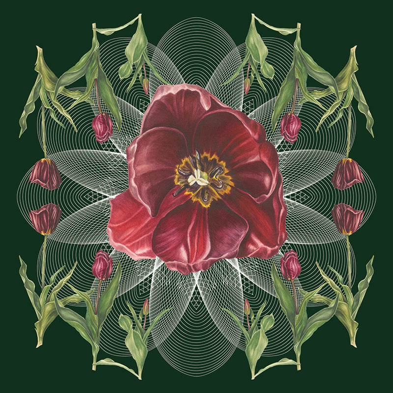 Tulip Geo Botanical Mural
