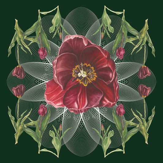 Tulip Geo Botanical Mural